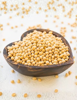 Soya beans — Nigerian bulk export product